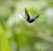 20140713_sachatamia_0055