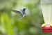 20140713_sachatamia_0077