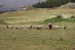 Ollayantambo 1 705.jpg