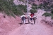 Chincherro 112.jpg