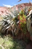 Salineras 308.jpg
