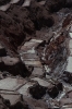 chincherro-257.jpg