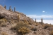 salar-de-uyuni-trip-324.jpg