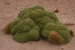 salar-de-uyuni-trip-421.jpg