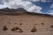 salar-de-uyuni-trip-475.jpg