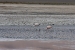 salar-de-uyuni-trip-495.jpg