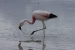 salar-de-uyuni-trip-604.jpg