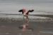 salar-de-uyuni-trip-622.jpg