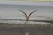 salar-de-uyuni-trip-624.jpg