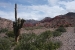 Salta and Ju Juy area 118.jpg