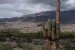 Salta and Ju Juy area 229.jpg