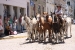 san antonio de areco 2 217.jpg
