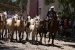 san antonio de areco 2 241.jpg