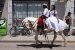 san antonion de areco 1 040.jpg