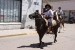 san antonion de areco 1 168.jpg