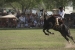 san antonion de areco 1 300.jpg