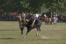 san antonion de areco 1 303.jpg