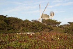 thumb_20170318_SAN FRANSISCO_027917737_1024