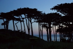 thumb_20170318_SAN FRANSISCO_031717775_1024
