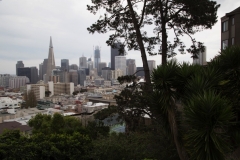 thumb_20170319_SAN FRANSISCO 3_037218123_1024