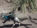 20140830_San-Juan_0155