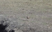 20140830_San-Juan_0170