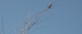 20140830_San-Juan_0175