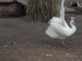 20140830_San-Juan_0217