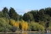 san-martin-de-los-andes-1-081