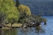 san-martin-de-los-andes-1-103