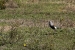 san-martin-de-los-andes-1-307