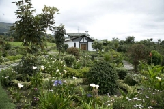 20140323_hacienda_0026