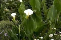 20140323_hacienda_0028