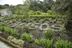 20140323_hacienda_0041