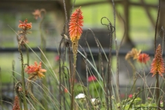 20140323_hacienda_0049