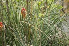 20140323_hacienda_0053
