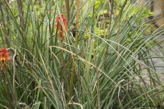 20140323_hacienda_0056