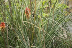 20140323_hacienda_0059