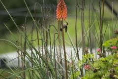 20140323_hacienda_0075