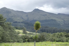 20140323_hacienda_0080