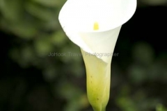 20140323_hacienda_0087