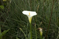 20140323_hacienda_0123