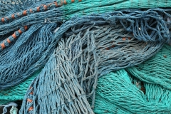 skye_0403