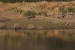namibia 1 067.jpg