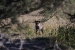 namibia-11-036_0.jpg