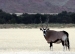 namibia-18-163a_0.jpg
