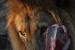 namibia-4-061_0.jpg