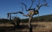 namibia-4-210_0.jpg
