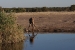 namibia-5-019.jpg
