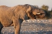 namibia-5-143.jpg